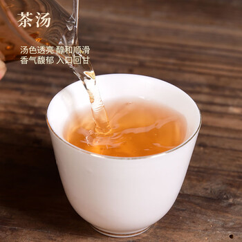 政和白茶2019年润香有机寿眉50g 春茶散茶高山政和白茶口粮茶叶