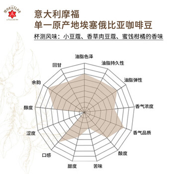 摩福意大利原装进口咖啡单一原产地系列手冲咖啡 埃塞俄比亚125g/罐