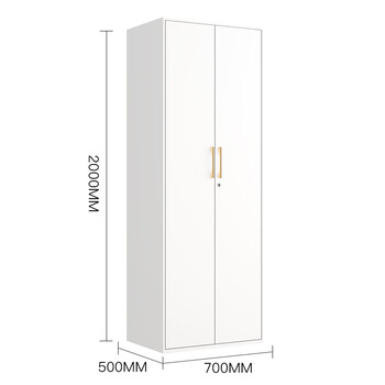 洛克菲勒家用卧室铁皮衣柜阳台储物柜小户型置物简易钢制更衣柜子双门五层