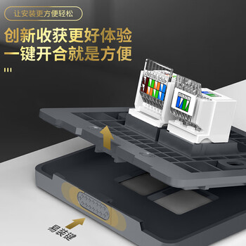 万级 六类网络面板 千兆网线插座二位双口 86型网络+电话家装宽带墙壁装修面板 1-145075灰 万级 六类网络面板 千兆网线插座二位双口 86型网络+电话家装宽带墙壁装修面板 1-145075灰