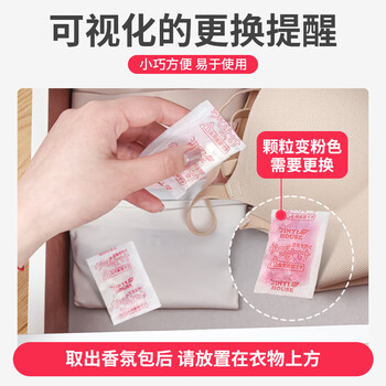 JINYI HOUSE衣柜防潮防霉防虫除味樟脑丸48小包/袋鞋柜除臭芳香清新混合花香