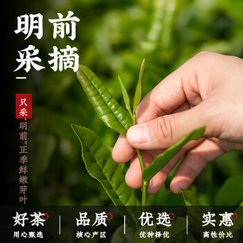 唐朴 绿茶安吉白茶明前特级250g 2025新茶叶礼盒观山春茶高端送礼品 唐朴 绿茶安吉白茶明前特级250g 2025新茶叶礼盒观山春茶高端送礼品