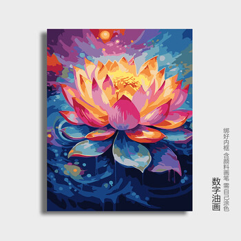 史历克线浮漂价格报价行情- 京东