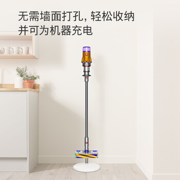 戴森（DYSON）站立式充电支架 V12 Dok 971446-01
