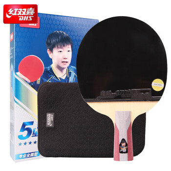 红双喜DHS狂飚乒乓球拍 直拍双面反胶弧圈结合快攻5星单拍H5006(附拍套)