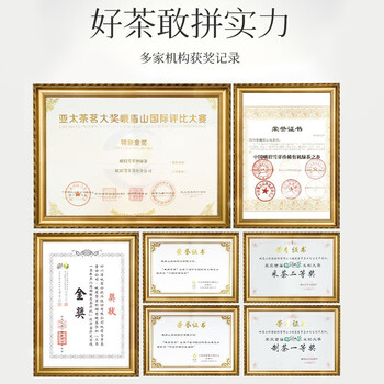 峨眉雪芽 高山红茶 浓香蜜香四川峨眉山自饮茶叶绿茶茗茶嫩芽240g