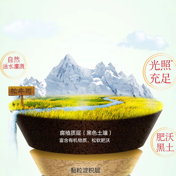 奥妙（OMO）薰衣草超效洗衣皂200G*1块 天然植物油+孔雀呈祥飞五常大米5kg