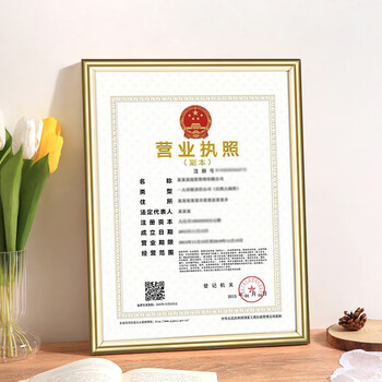 金隆兴 营业执照正本框A3相框挂墙仿铝合金画框装裱保护套工商卫生许可证书荣誉证书奖状框框架金色BB-A3