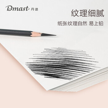 得力（deli）4K160g素描纸PE袋装(20张/袋)手绘临摹专业联考艺考铅画纸RS3-4K