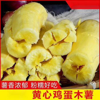 诺方洲广西黄肉鸡蛋面包黄心木薯新鲜蛋黄木薯现挖粉糯食用板栗木薯