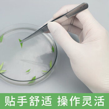 嘉湛力一次性乳胶手套加厚 科研实验室100只/盒 无粉 M码
