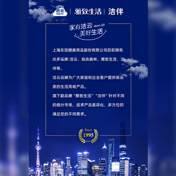 洁云卫生纸 洁伴平板纸460g*10包 医院B超刀切纸草纸 强韧厚实难浸透 洁云卫生纸 洁伴平板纸460g*10包 医院B超刀切纸草纸 强韧厚实难浸透