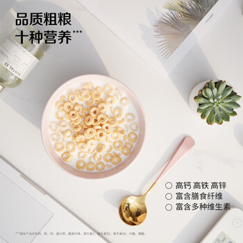 雀巢（Nestle）进口脆谷乐儿童零食500g谷物圈儿童麦片早餐即食非油炸全谷物