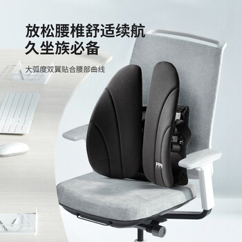 PPW 靠垫人体工学腰垫汽车腰靠腰托腰椎垫办公室靠背腰枕座椅椅子 PPW 靠垫人体工学腰垫汽车腰靠腰托腰椎垫办公室靠背腰枕座椅椅子