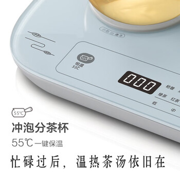 小熊 新中式煮茶器 0.8L 喷淋煮茶 茶汤分离 七大茶类 两种保温微电脑控制 ZCQ-A08E1 
