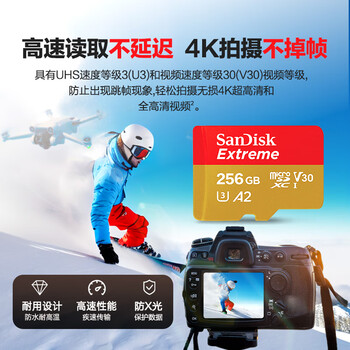 闪迪(SanDisk)256GB TF(MicroSD)内存卡 4K极速金卡A2 V30 U3行车记录仪 运动相机无人机 监控存储卡 读190MB/s 闪迪(SanDisk)256GB TF(MicroSD)内存卡 4K极速金卡A2 V30 U3行车记录仪 运动相机无人机 监控存储卡 读190MB/s