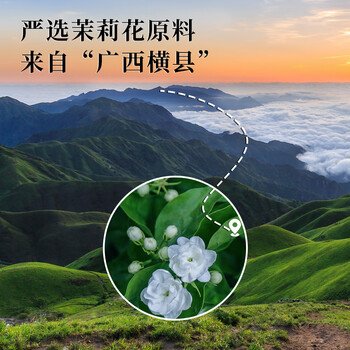 朕皇北京同仁堂 茉莉花苞茉莉花茶 横县三伏晴天新花蕾泡水养生茶30g