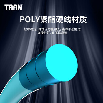 TAAN泰昂网球线聚酯硬线耐打旋球专业网线T10 湖蓝色单卡装