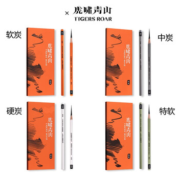 空色炭笔素描铅笔软炭美术生专用笔黑硬炭笔速写绘画工具初学者学生套装碳素画笔10支/盒美术写生