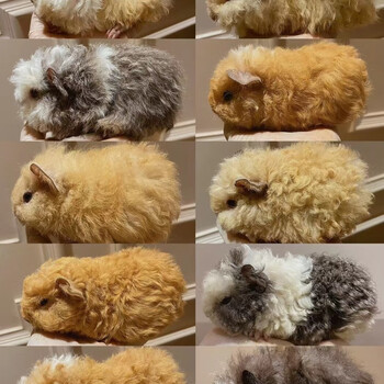 泰迪自家品牌及商品- 京东