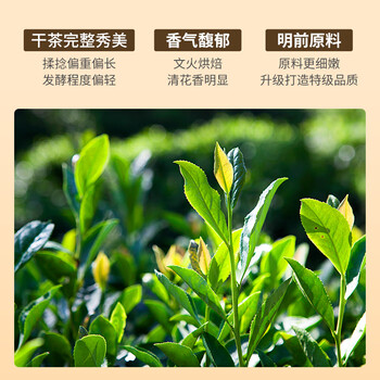 祥源茶红茶 祁红毛峰 祁门红茶特级正宗清香100g 罐装茶叶自己喝送礼品