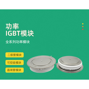 澜世 可控硅晶闸管 T2601N52TOF 澜世 可控硅晶闸管 T2601N52TOF