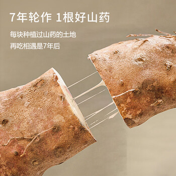 怀生堂 铁棍山药粉滋补营养品礼盒送父母长辈老人 360g30小袋/盒礼盒装 怀生堂 铁棍山药粉滋补营养品礼盒送父母长辈老人 360g30小袋/盒礼盒装