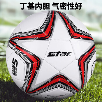 世达（star）足球5号儿童少儿标准比赛训练专用球校园世界杯PVC耐磨SB8235-04