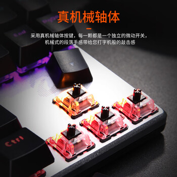 达尔优（dareu）EK815机械合金版机械键盘 有线电竞游戏键盘 87键多键无冲 笔记本电脑键盘 混光黑色青轴