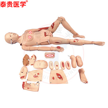 泰贵医学 全功能创伤护理人模型 野战基础伤情模拟人 23部件导尿止血包扎固定搬运外科急救训练假人 TG/CS15