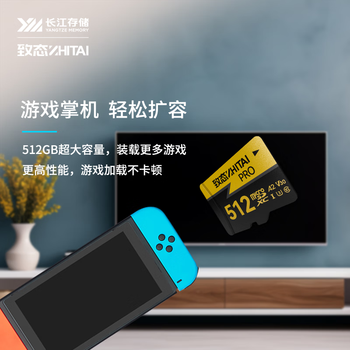 致态（ZhiTai）长江存储 512GB TF（MicroSD）内存卡 U3 V30 A2 PRO专业高速存储卡 读速170MB/s 无人机运动相机
