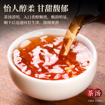 三隐 红茶 正山小种武夷山新茶浓香型茶叶礼盒装500g年货过节送老丈人