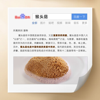 捷氏猴头菇黑芝麻糊600g无蔗糖添加中老年代餐养护胃食品五谷物粉冲饮