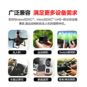 闪迪(SanDisk)256GB TF(MicroSD)内存卡 4K极速金卡A2 V30 U3行车记录仪 运动相机无人机 监控存储卡 读190MB/s 闪迪(SanDisk)256GB TF(MicroSD)内存卡 4K极速金卡A2 V30 U3行车记录仪 运动相机无人机 监控存储卡 读190MB/s