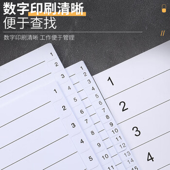 易利丰（elifo） 分页纸 隔页纸 分类纸 index索引纸 活页纸 纸质塑料数字英文三孔夹专用 15分页纸灰白色15张