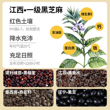 燕之坊0糖黑芝麻丸 独立小包装九蒸九晒儿童健康零食即食手工糕点81g