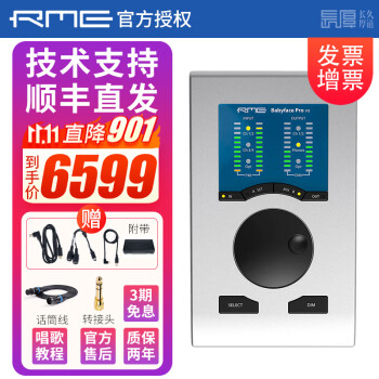 かわいい～！」 Rue【新品未使用】RME Babyface Pro FS 国内正規品