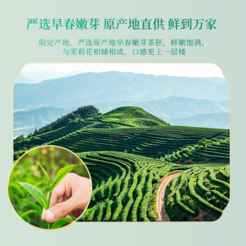 第一江南茉莉花茶横县浓香特级250g新茶茉莉龙豪绿茶叶礼盒装春茶送人礼品