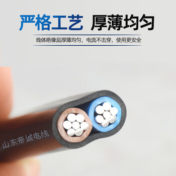 鲁诚讯 ZCBLVVB2*6铝芯电线6平方户外2芯铝线电缆线100米