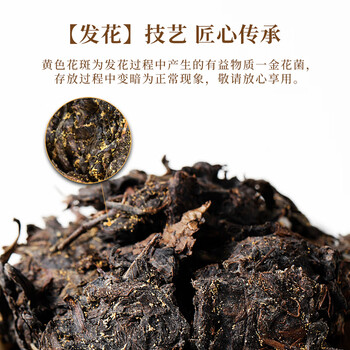 七春安化黑茶250g湖南特产金花茯砖茶叶 陈香熟散茶中秋自己喝礼物