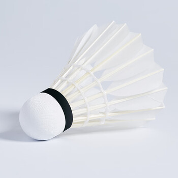 川崎（KAWASAKI）羽毛球稳定耐打比赛训练专用鹅毛球在逃公主7号12只装