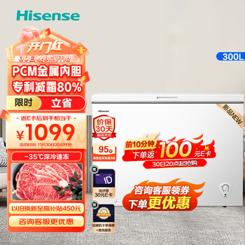 海信(Hisense)300升减霜冰柜家用商用囤货冷柜 金属内胆-35℃大冷冻力冷藏冷冻转换 卧式冰箱BD/BC-300ZNUM