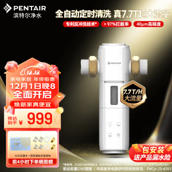 滨特尔(pentair) 前置过滤器大通量家用全屋自来水管道40μm过滤器7.7吨/H大流量水驱涡轮+反冲洗刮洗净水器 【升级7.7T/H】S260智能前置过滤器