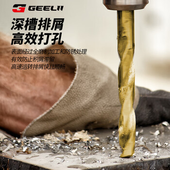 捷立（GeeLii）麻花钻头套装 铝合金打孔瓷砖金属钢铁手电钻转头19件套 56218