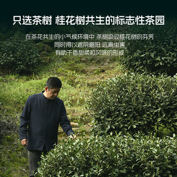 卢正浩绿茶龙字西湖龙井茶特级50g2026新茶预售明前茶叶满觉陇源头直发