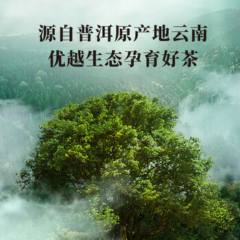 八马茶业普洱茶 班章生普冰岛熟普茶叶礼盒送礼120g 送礼