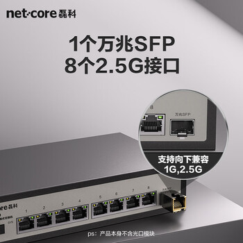 磊科（netcore）GS9 9口企业级交换机8个2.5G电口+1个万兆SFP光口 支持向下兼容1G光电模块 千兆网络分线器