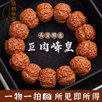 文玩堂：金刚菩提（爆肉五星深沟双龙） O1CN019aVTCt2GTqG1QkAdB_!!