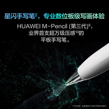 华为（HUAWEI）MatePad Pro 13.2吋144Hz OLED柔性屏星闪连接办公创作平板电脑12+256GB WiFi曜金黑