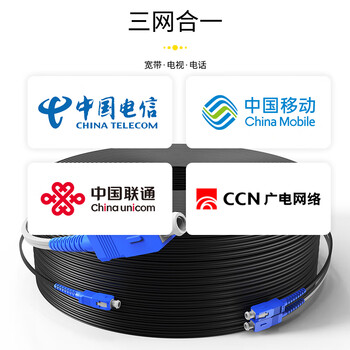 SK-LINK 单模双芯光纤皮线 室外2芯3钢丝成品光纤线尾纤免熔接户外低烟无卤 300米SC接头SWGL2SM-300M(SC)